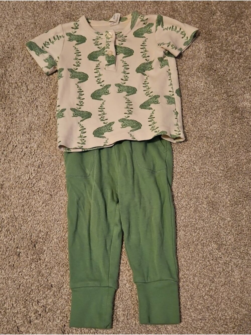 Kate Quinn Green Frog Cotton Shirt Pants Set 18-24M